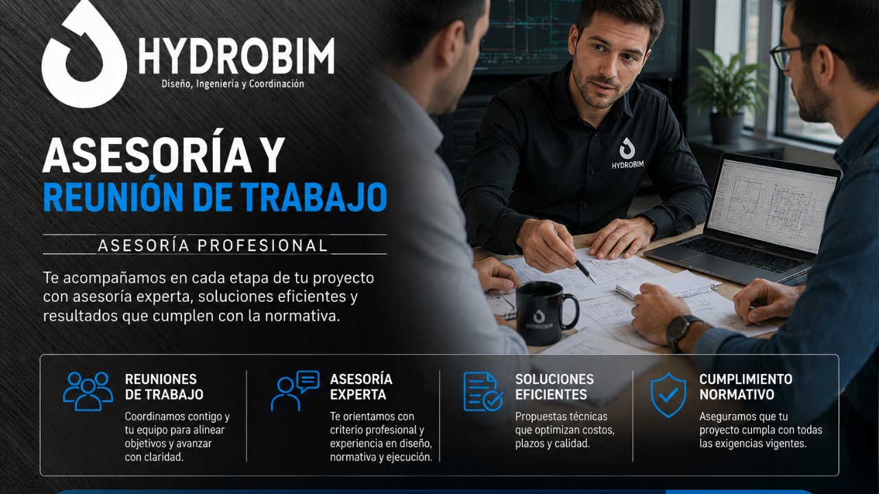 Asesoria profesional